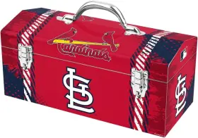 681620286274 TEAM PRO MARK Saint Louis Cardinals Mlb Steel