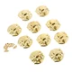 dophee 10 Pack Vintage Small Box Hasp, Mini Metal 1.06"x1.14", Gold